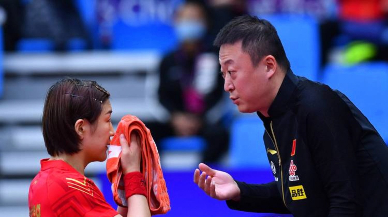 关于法国羽毛球队绝杀印度羽毛球队，马琳惊艳世界的信息